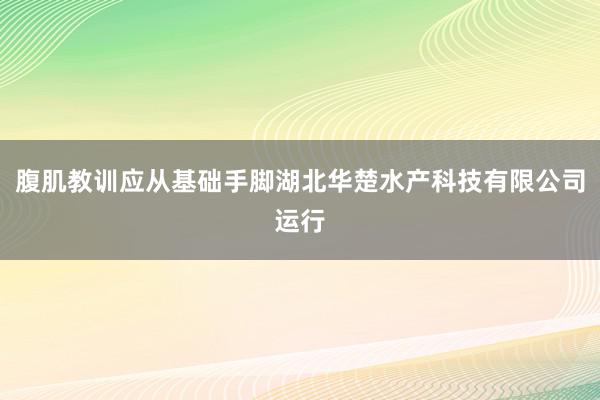 腹肌教训应从基础手脚湖北华楚水产科技有限公司运行