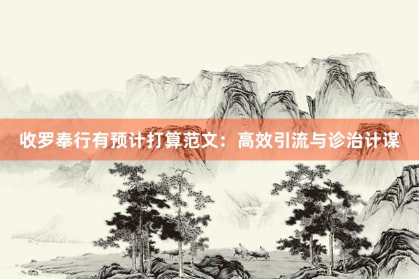 收罗奉行有预计打算范文：高效引流与诊治计谋