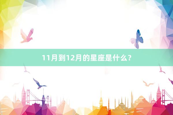 11月到12月的星座是什么？