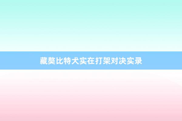 藏獒比特犬实在打架对决实录
