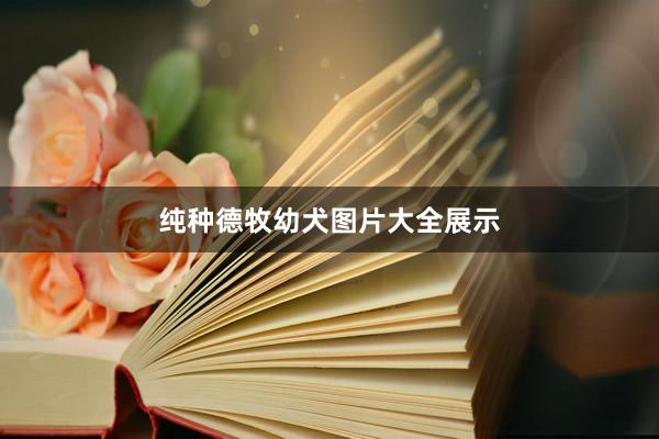 纯种德牧幼犬图片大全展示